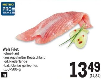 Metro Wels Filet 150-500 g Angebot