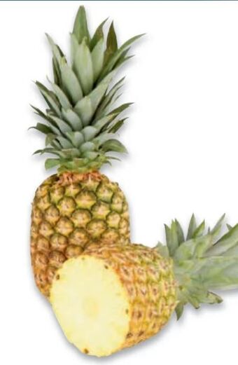 Metro Ananas Angebot