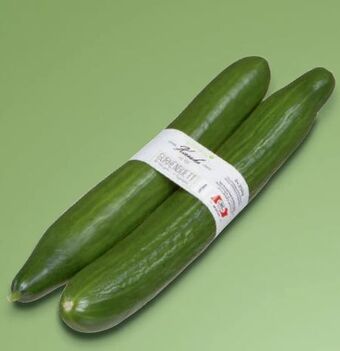 Metro Gurken Angebot