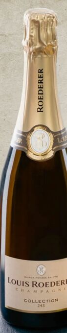 Metro Champagner collection 242 Angebot