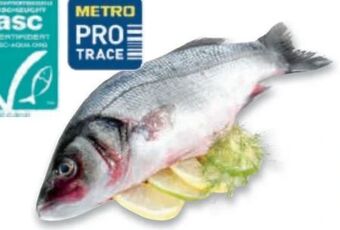 Metro Wolfsbarsch Angebot