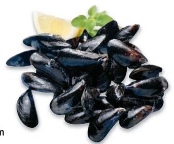 Metro Miesmuscheln Angebot