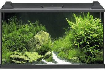 Hornbach Aquarium eheim aquaproled 126 mit led-beleuchtung, filter, heizer, thermometer, fangnetz ohne unterschrank schwarz Angebot