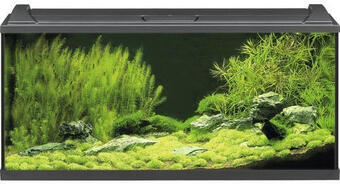 Hornbach Aquarium eheim aquaproled 180 mit led-beleuchtung, filter, heizer, thermometer, fangnetz ohne unterschrank schwarz Angebot