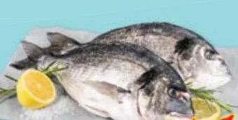 Maximarkt Bio-goldbrasse Angebot