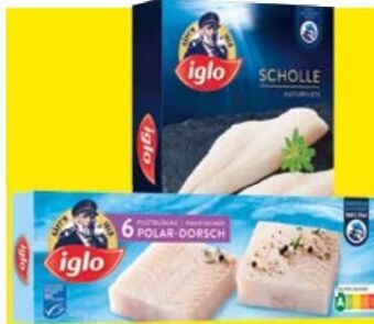 Maximarkt Scholle Angebot