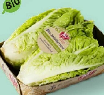 Billa Bio Salatherzen Angebot