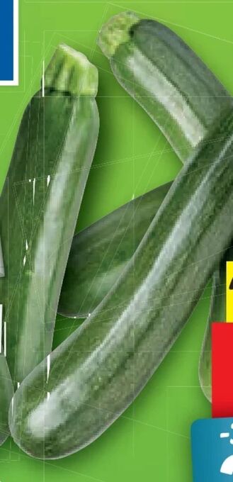 Lidl Bio-zucchini Angebot