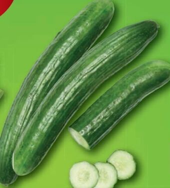Lidl Gurken Angebot
