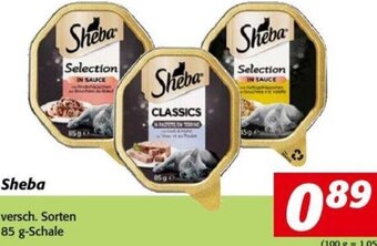Nah&Frisch Sheba versch. Sorten 85 g-Schale Angebot