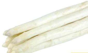 Transgourmet Spargel Angebot