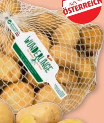PENNY Erdäpfel Angebot