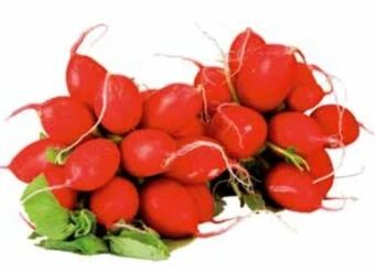 Transgourmet Radieschen Angebot