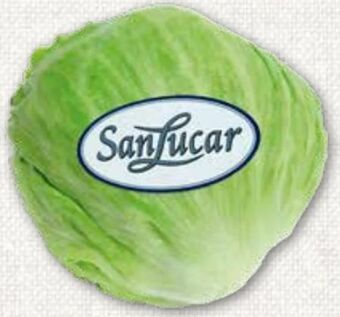 ADEG Eissalat Angebot