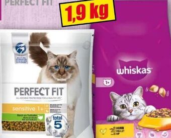Norma Katzen-trockenfutter Angebot