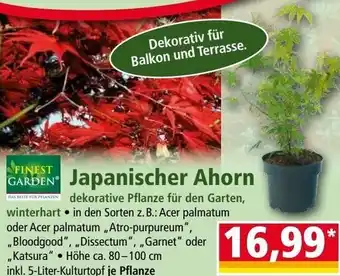 Norma FINEST GARDEN Japanischer Ahorn Angebot