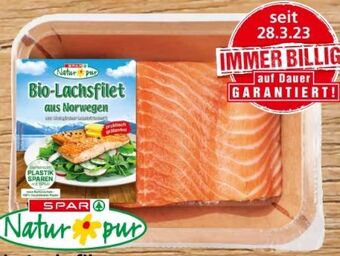 Eurospar Bio-lachsfilet Angebot