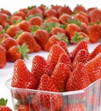 Spar Erdbeeren Angebot