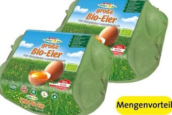 Spar Bio-eier Angebot