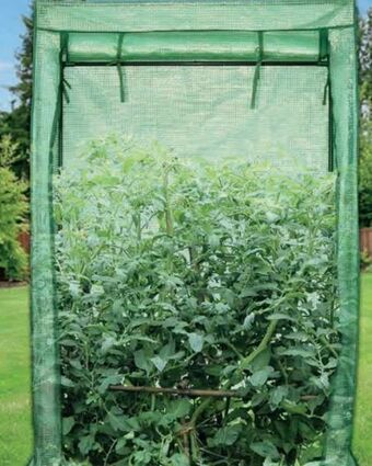 Hagebau Tomatenhaus Angebot