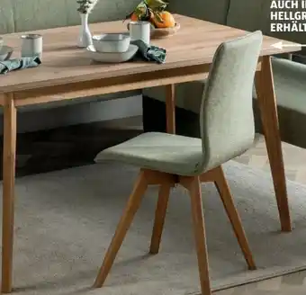 Hofer Skandinavisch tisch Angebot
