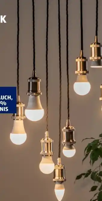Hofer Led mehrfachpacks hoch lumig Angebot