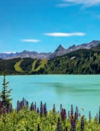 Hofer Reisen Tirol/paznauntal-galtür Angebot