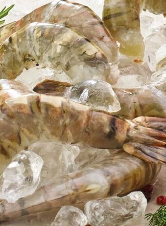 Interspar Bio-black tiger garnelen Angebot