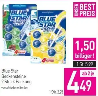 Sutterlüty Blue Star Beckensteine 2 Stück Packung verschiedene Sorten Angebot
