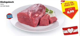 Hofer Rindsgulasch Angebot