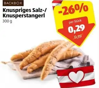 Hofer Knuspriges Salz-/ Knusperstangerl 300g Angebot