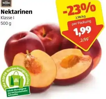 Hofer Nektarinen 500g Angebot