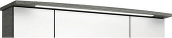 Hornbach Led kranzbeleuchtung pelipal xpressline 4010 1,6x26,5x82 cm graphit Angebot