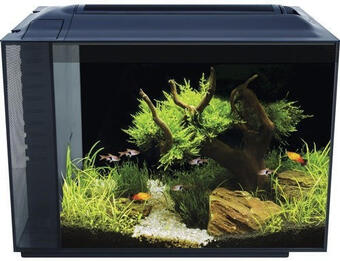 Hornbach Aquarium fluval spec xv 60 l mit led beleuchtung und filtersystem schwarz Angebot