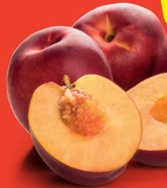 Hofer Nektarinen Angebot