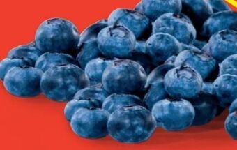 Hofer Heidelbeeren Angebot