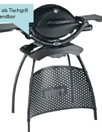 Hellweg Gasgrill q 1200 stand Angebot