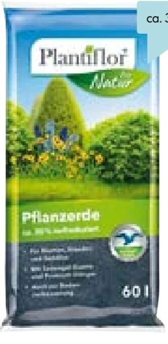 Hellweg Pflanzerde Angebot