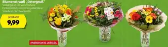 Hofer Blumenstrauß Ostergruß Angebot