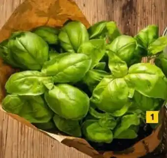 Billa Frische Bio- Kräuter Im Topf Angebot