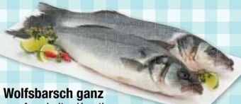 Maximarkt Wolfsbarsch Angebot