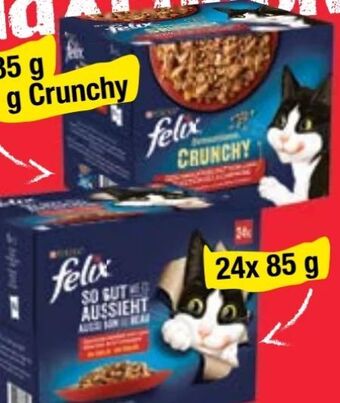 Maximarkt Felix katzennahrung Angebot