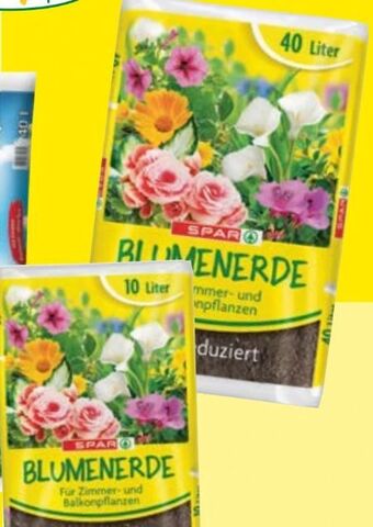 Maximarkt Blumenerde Angebot