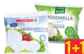 Maximarkt Mozzarella Angebot