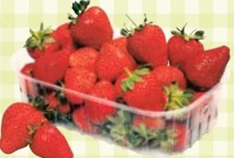 Maximarkt Erdbeeren Angebot