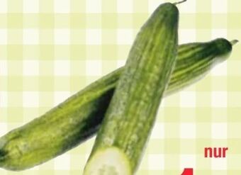 Maximarkt Gurken Angebot