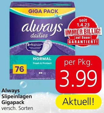 Spar Always Slipeinlagen Gigapack versch. Sorten Angebot