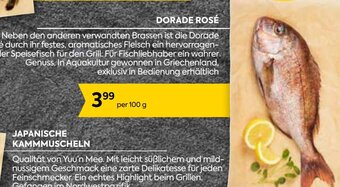 Billa DORADE ROSÉ Angebot
