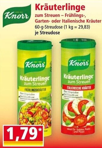Norma Knorr Kräuterlinge Angebot