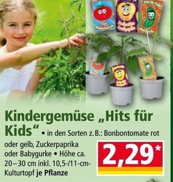 Norma Kindergemüse ,,Hits für Kids" Angebot